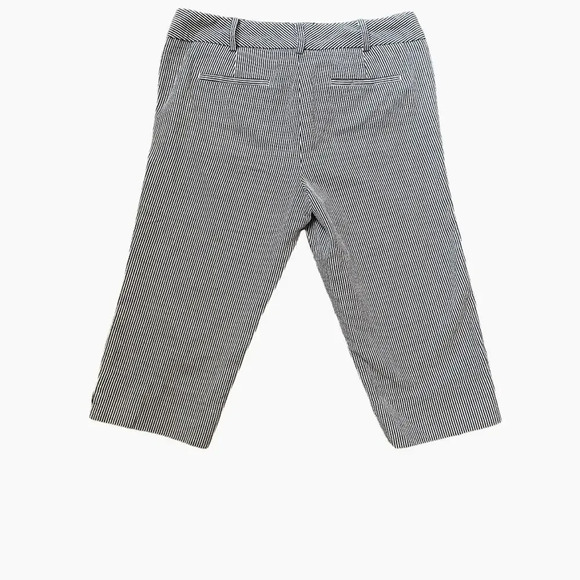 TALBOTS RELAXED CHINO SHORTS - SUNSHINE SEERSUCKER | Blue Soft White| Size 2P - Picture 3 of 9